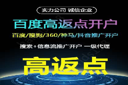 短视频平台上的信息流广告投放效果分析